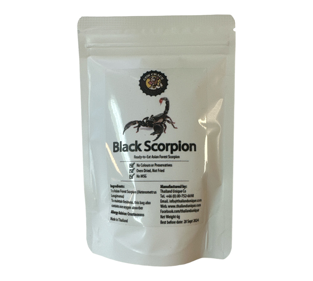 
            
                Load image into Gallery viewer, Black Scorpion
            
        
